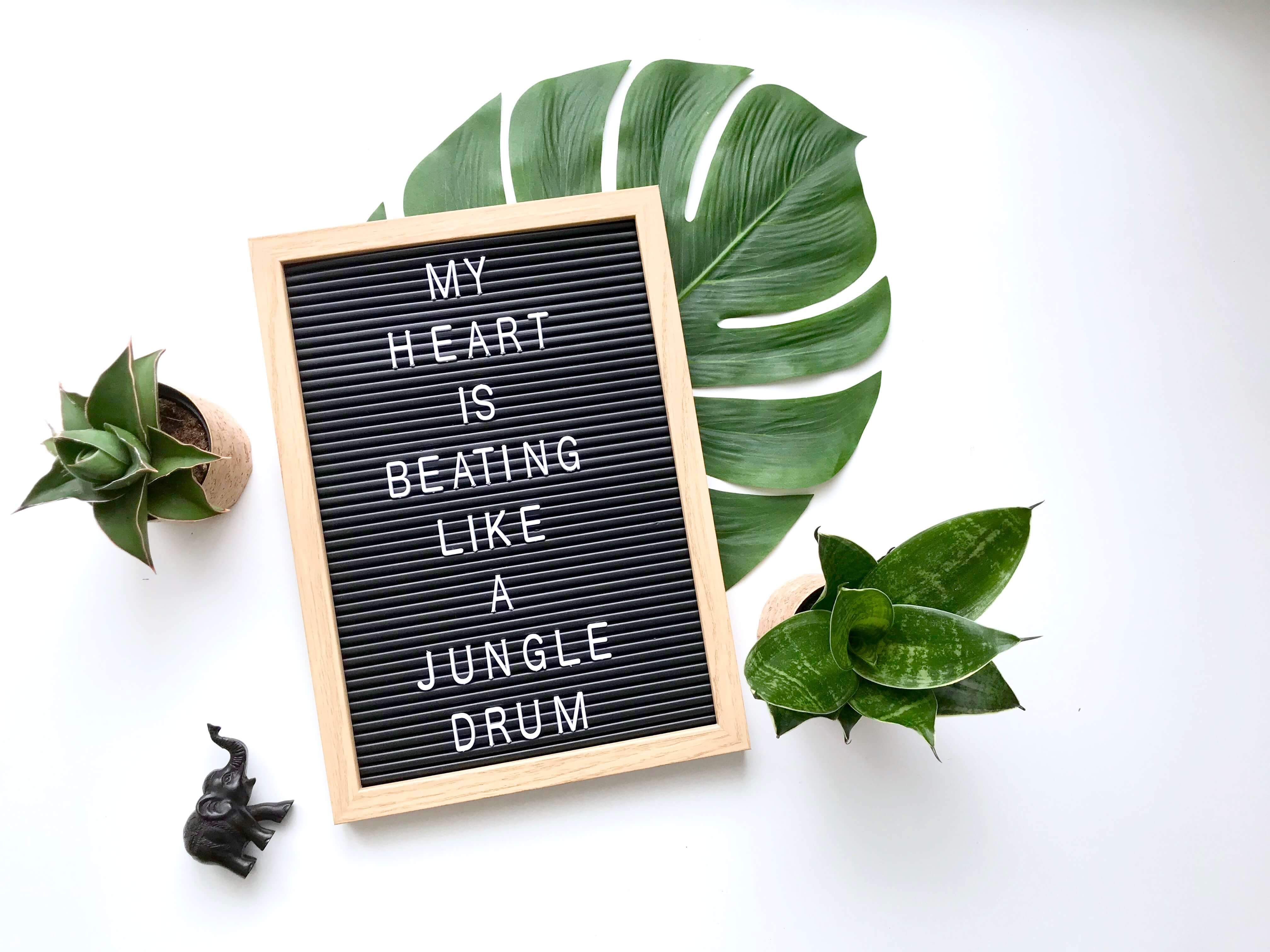 Mini-Übertöpfe für Sukkulenten11