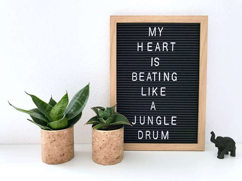 Mini-Übertöpfe für Sukkulenten12