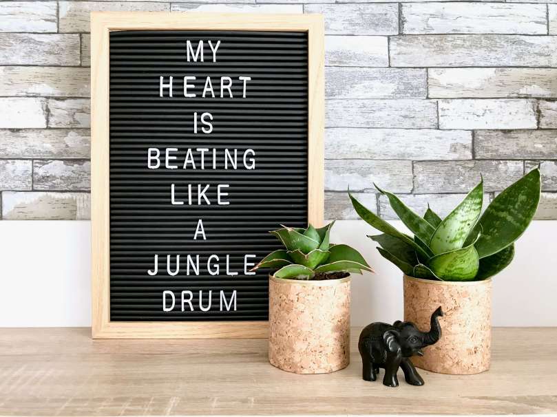 Mini-Übertöpfe für Sukkulenten14