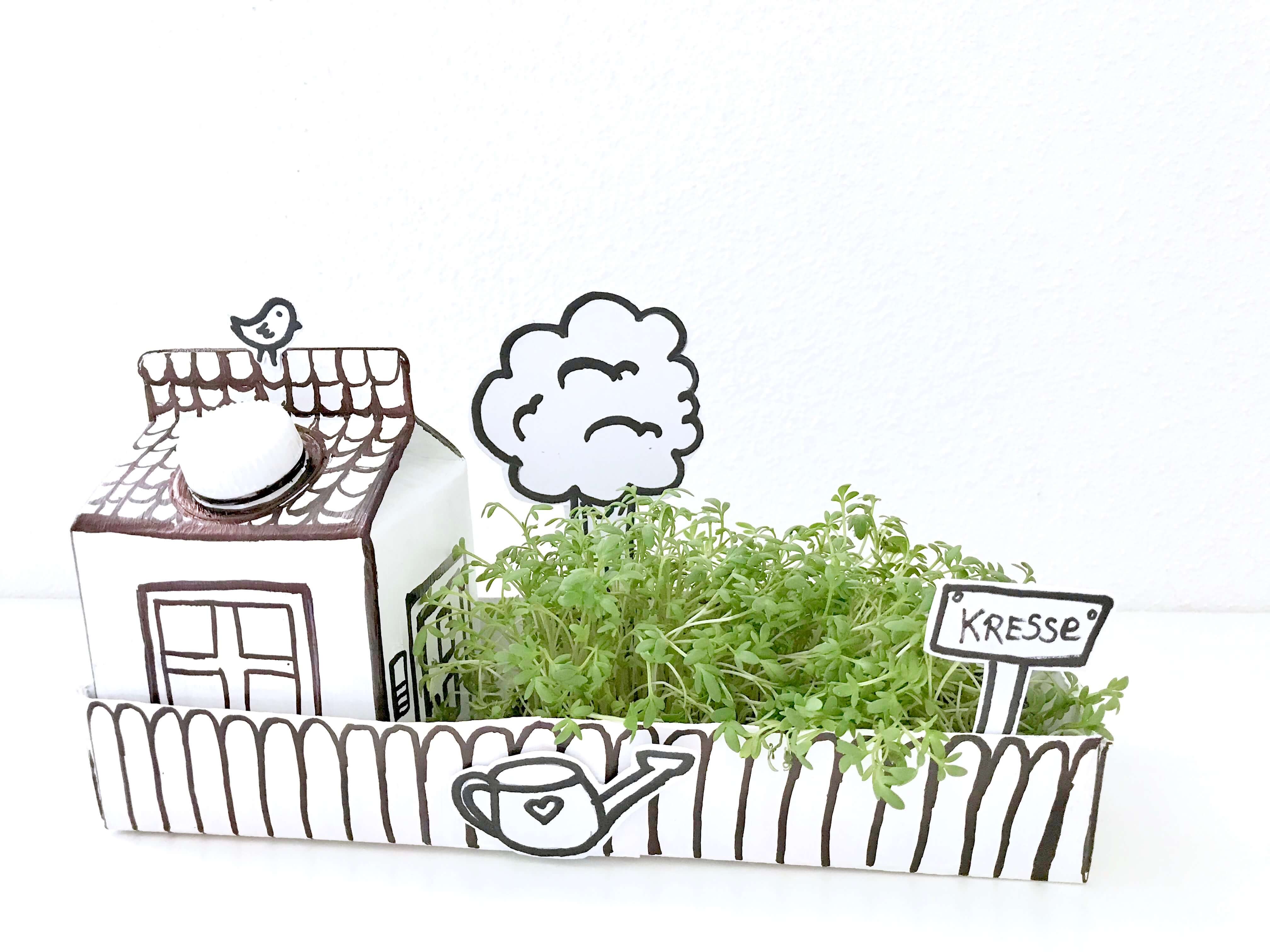 Papphaus mit Garten16