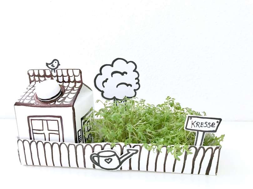 Papphaus mit Garten16