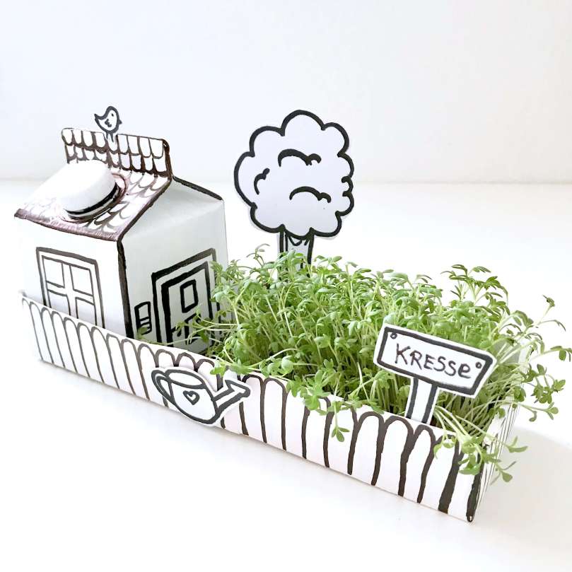 Papphaus mit Garten23