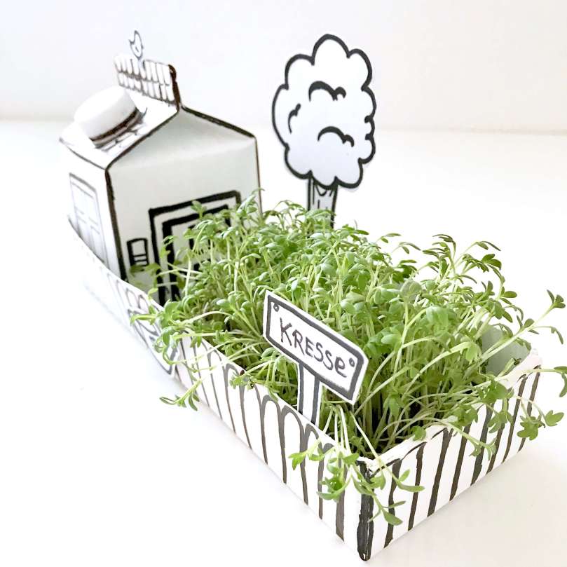 Papphaus mit Garten27