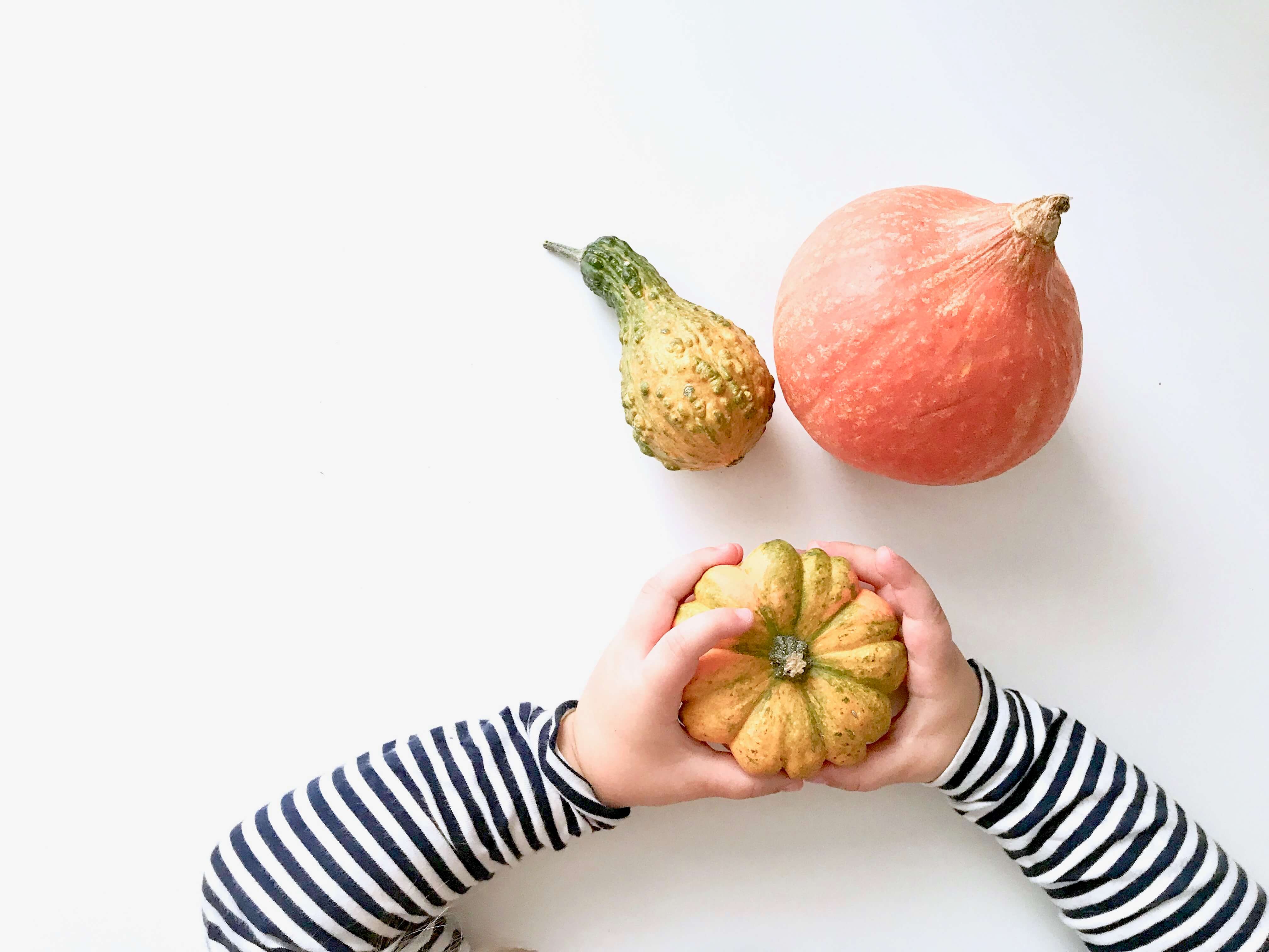 5 Kreative Kürbis Kunstwerke mit (Klein-)Kindern2